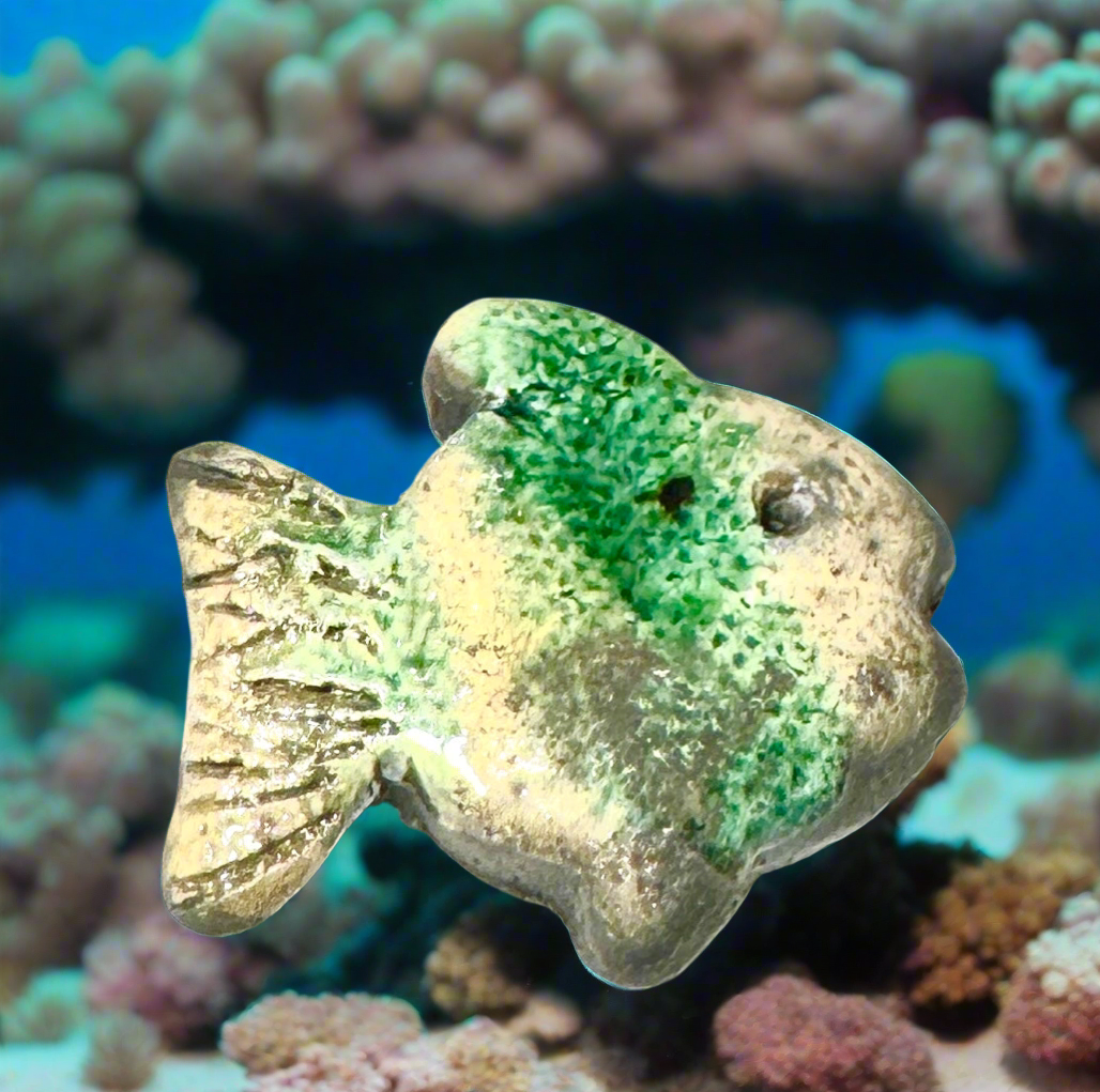 Fish Magnet-3